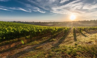 Italienische Lebensmittelqualität - unsere gastronomische Exzellenz | AgriCook