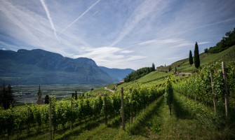 Gli aspetti positivi dell acquisto di prodotti genuini su Agricook | AgriCook