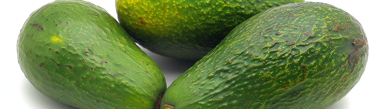Sizilianische Avocado: Das grüne Gold Siziliens