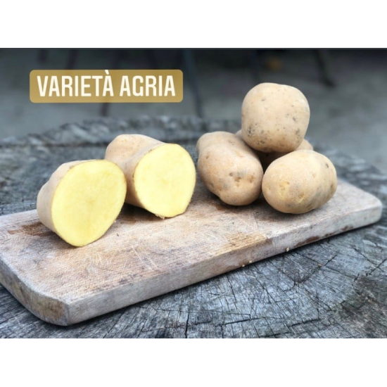 Patate di montagna  pasta gialla  10kg spedizione inclusa - anche da semina