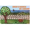 AZIENDA AGRICOLA VECERA LUIGI