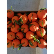 Clementine nova siciliane 100% naturali - 10kg