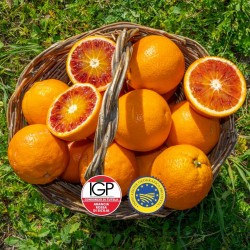 Arancia tarocco gallo da tavola igp - calibro medio grande-  18kg