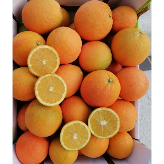 Arance dolcissime navel new hall siciliane (da tavola) 100% naturali con buccia edibile - 1kg