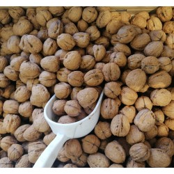 Vere noci siciliane annata - 1kg