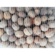 Vere noci siciliane annata 2023 - 1kg