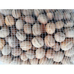 Vere noci siciliane annata - 1kg