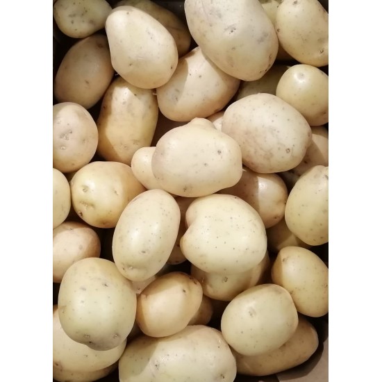 Patate nuove 100% bio siciliane Patate nuove 100% bio siciliane