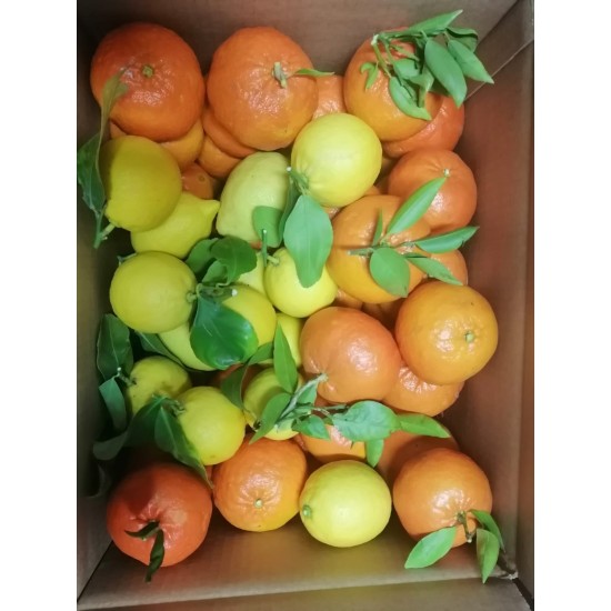 Box agrumi siciliani 100% naturali 10kg Box agrumi siciliani 100% naturali 10kg
