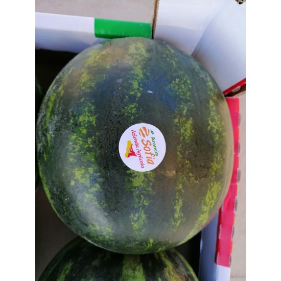Anguria baby siciliana dolcissima | peso circa 3 kg | la freschezza dell'estate in un frutto Anguria baby siciliana dolcissima | peso circa 3 kg | la freschezza dell'estate in un frutto