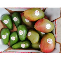 Box siciliana mista da 5kg  mango e avocado siciliano - spedizione gratuita in italia