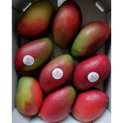 Box mango siciliano 5kg - spedizione gratuita in italia