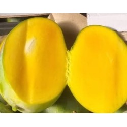 Box mango siciliano 5kg - spedizione gratuita in italia