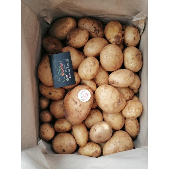 Box da 10kg patate novelle siciliane - anche da semina - non trattate
