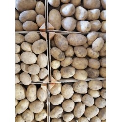 Box da 10kg patate pasta gialla naturali - anche da semina - non trattate