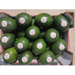 Box avocado siciliano - 5kg - spedizione gratuita in italia