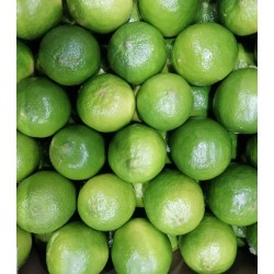 Box lime siciliano 2kg