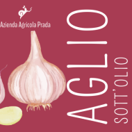 Aglio sott'olio