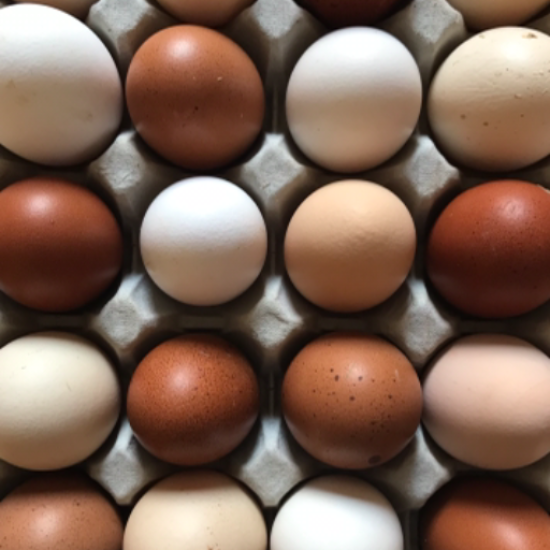 6 uova di galline ruspanti