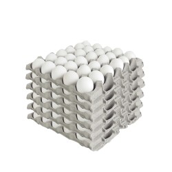 120 uova mancini da allevamento free-range