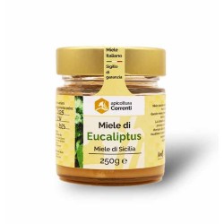 Miele di eucaliptus siciliano – vasetto 250 g