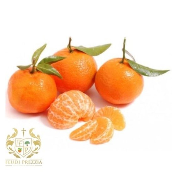 Clementine di ribera 8 kg. Clementine di ribera 8 kg.