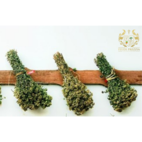 Origano di sicilia - mazzetto 27 gr Origano di sicilia - mazzetto 27 gr