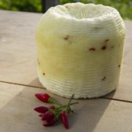 Pecorino primo sale di sicilia al peperoncino