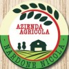 NARDONE NICOLA