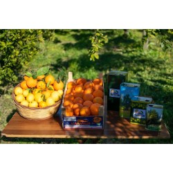 Box di arance washington navel misto - kg.16 arance kg.4 limoni