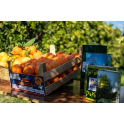 Box di arance washington navel e olio extravergine d'oliva kg.15 arance + litri 5 olio