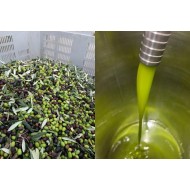 Olio novello extravergine di oliva biologico certificato biosicilia c.o. 2023/2024 latta x l.5