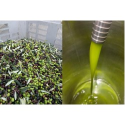 Olio novello extravergine di oliva biologico certificato biosicilia c.o. 2022/2023 latta x l.5