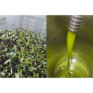Olio novello extravergine di oliva certificato c.o. 2023/2024 latta x l.3