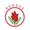 REDESS SRL