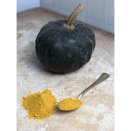 Zucca essiccata in polvere