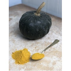 Zucca essiccata in polvere