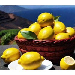 Limone siciliano bio cassa 20 kg sped.gratuita