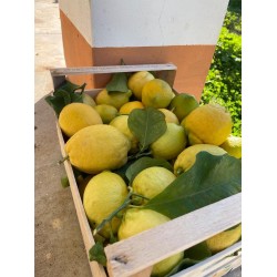 Limoni