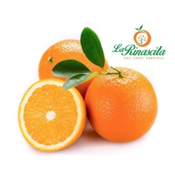 Confezione arance navel 1° categoria - 20 kg