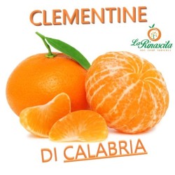Confezione clementine di calabria 1°categoria - 10 kg