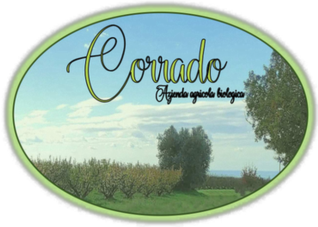 GIOVANNI CORRADO